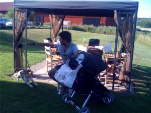 GetAttachment-1.aspx