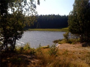 GetAttachment-2.aspx