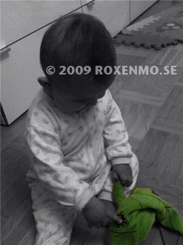ronja me snuttis ronja me snuttis