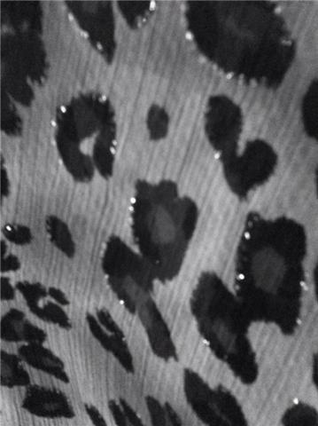 GetAttachment-3.aspx