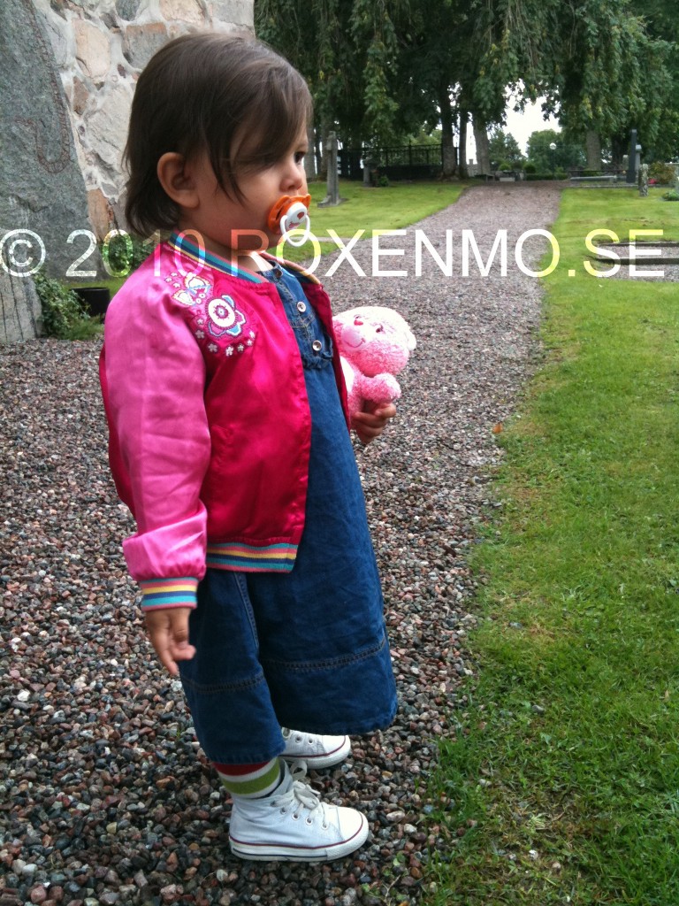 bild-111